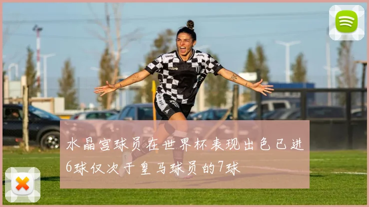 水晶宫球员在世界杯表现出色已进6球仅次于皇马球员的7球