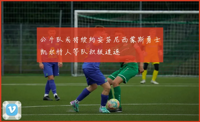 公牛队或将续约安芬尼西蒙斯勇士凯尔特人等队积极追逐