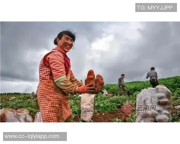 发福的肥扎重返斯坦福桥晒照感慨归家之路再续蓝桥情怀 发福的肥扎重返斯坦福桥晒照感慨归家之路再续蓝桥情怀