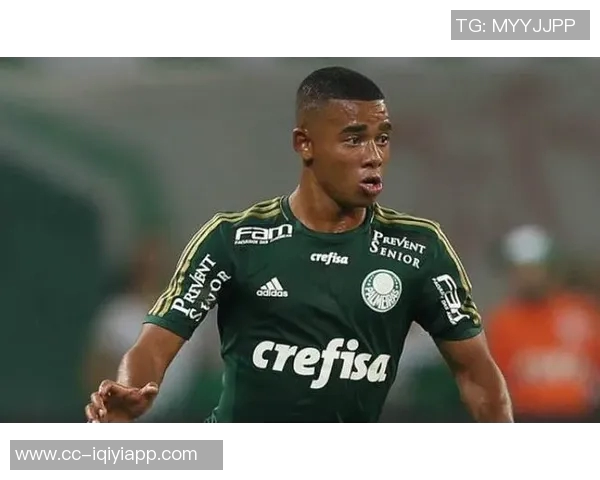 帕尔梅拉斯主席热情呼唤热苏斯归队期待重聚的美好时刻 帕尔梅拉斯主席热情呼唤热苏斯归队期待重聚的美好时刻