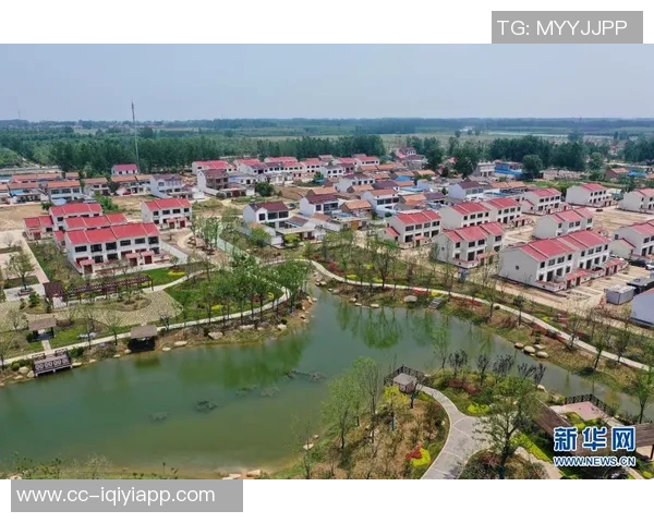 PJ霍尔回归家乡打球感慨万千新房即将迎娶爱人生活幸福美满